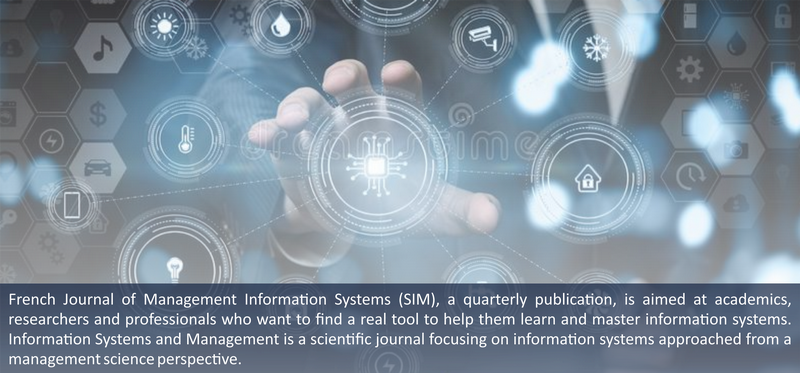 Systèmes d'Information et Management