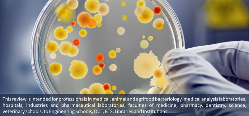 Les Actualités Permanentes en Microbiologie Clinique